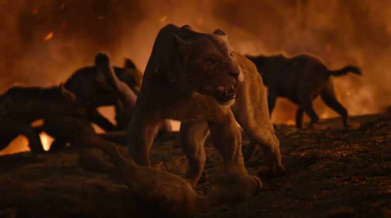 (ROARS)