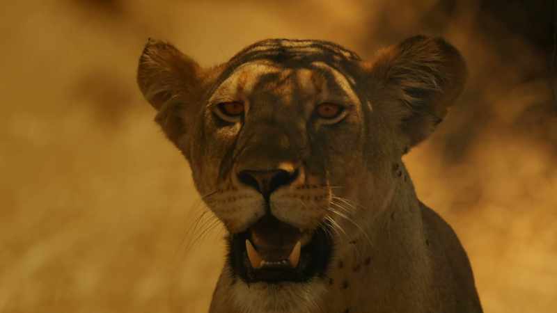 ROARS