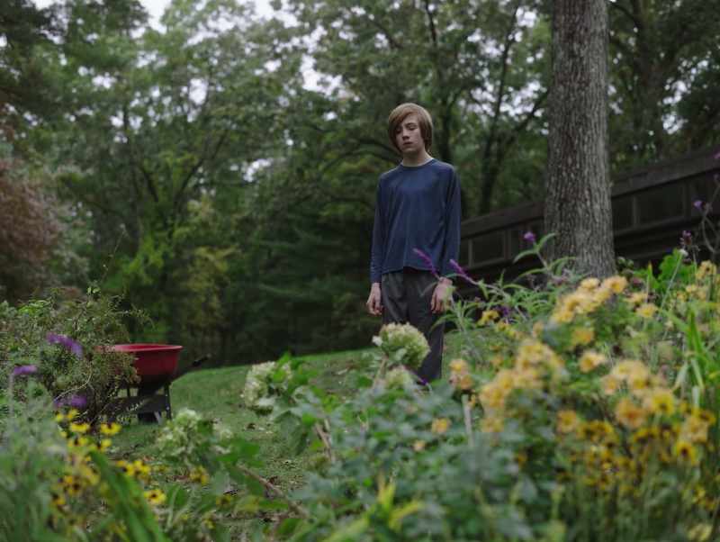 Rob the other plants in the soil