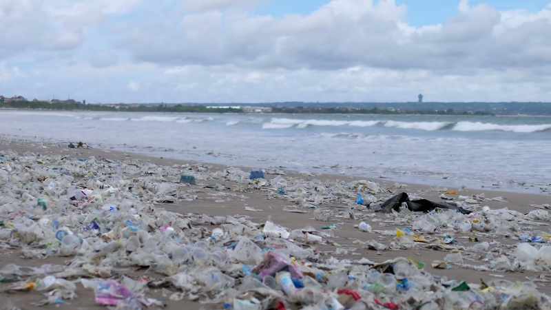[Rob] The United Nations Environment Program defines