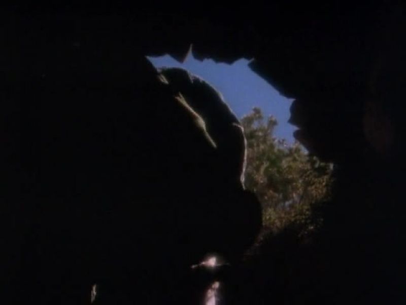 ROBERT STACK: Inside the opening was a crude ladder