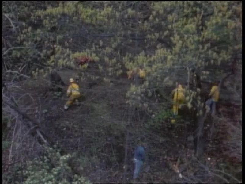 ROBERT STACK: The search also turned up patches of corduroy