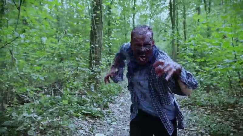 ROBERT: Then we've got a final type of zombie