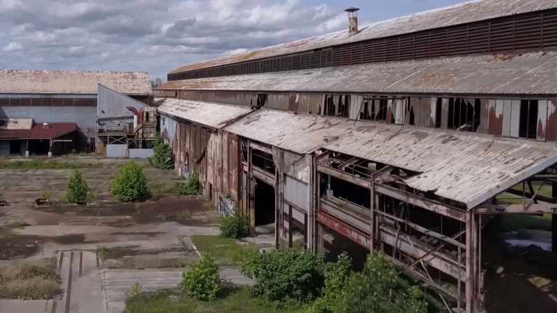 [Robotic sounds] [Birds chirping]
