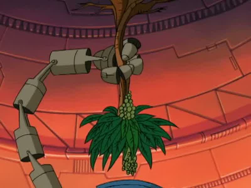 ROBOTNIK: MY TRAVELING LAB CAN PROCESS AN ENTIRE TREE IN SECONDS
