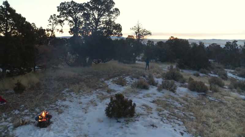 [Robynne] Running and digestion are both really active processes