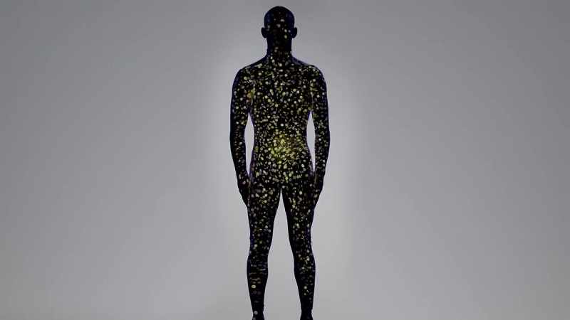 [Robynne] We are completely animated  by our microbes