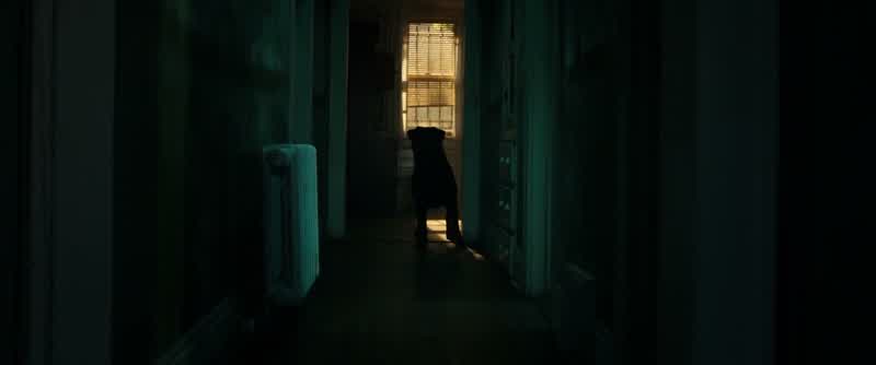 Rocky... go to the door