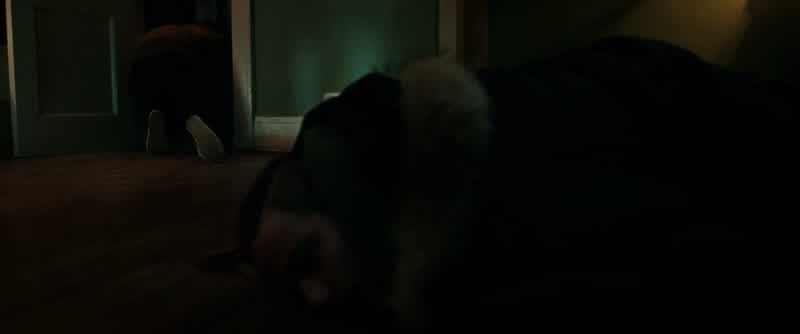 Rocky, hey, are you okay?