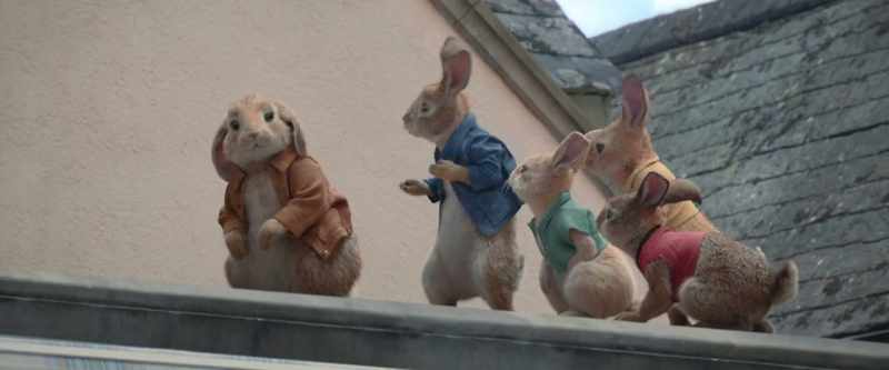 Rodent? Rodent?