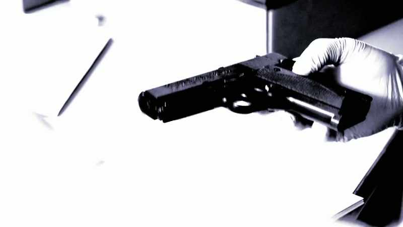 Roger: IN NEVADA, WE HAVE GUN-REGISTRATION LAWS