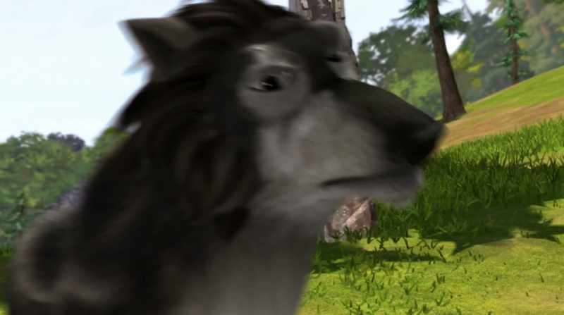 Rogues, back to the forest!