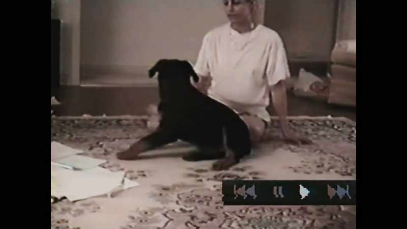 Roll over. - Paul didn't want that dog