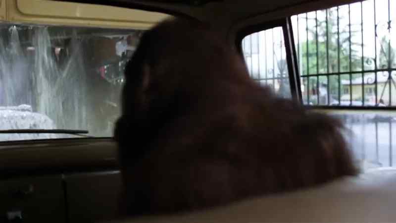 Roll up your window