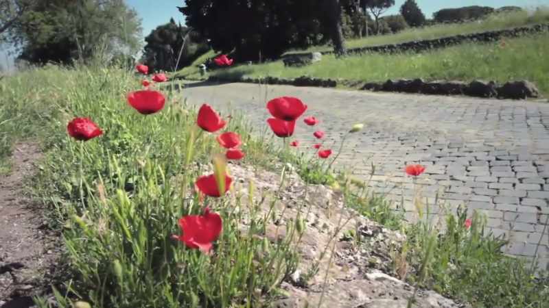 Romans may have stopped building roads