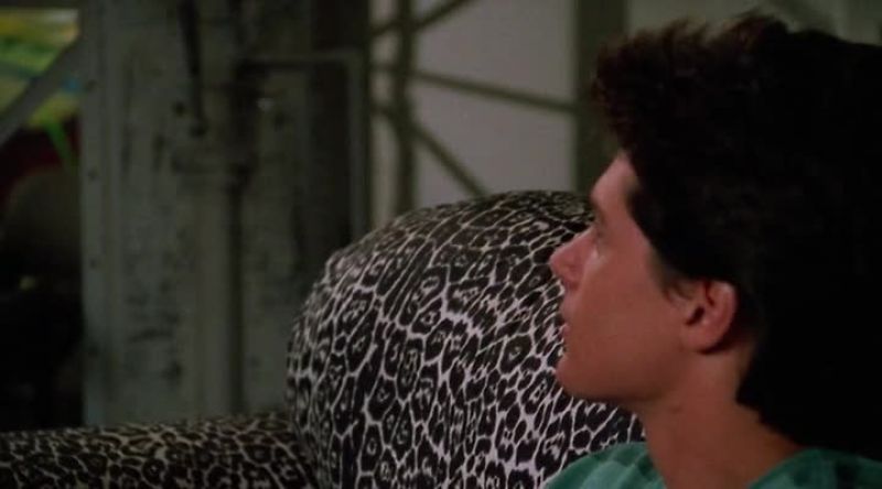 [ROMANTIC MUSIC CONTINUES]