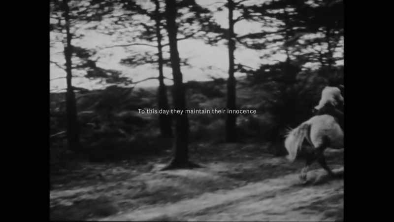 �� (ROMANTIC MUSIC PLAYING) ♪