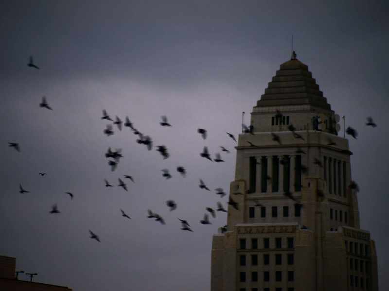 [♪ romantic music playing] - [wings fluttering]