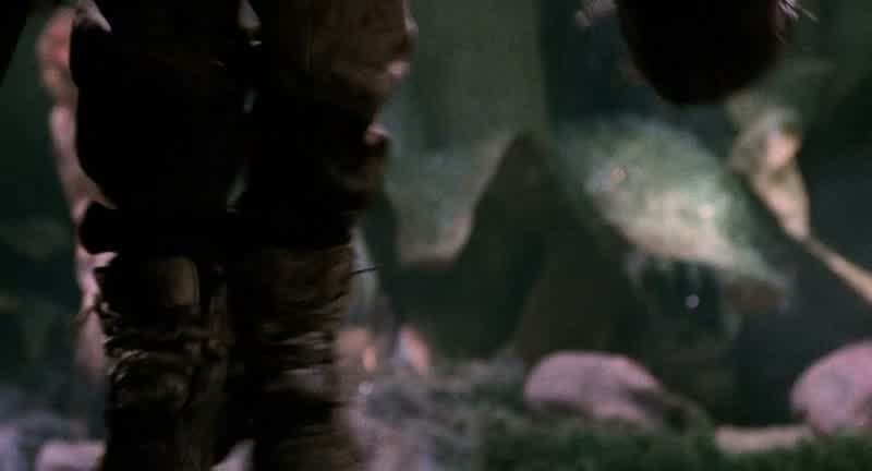 RON: Look out!