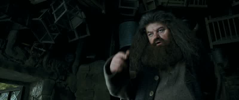 Ron. Ron. - Ron!