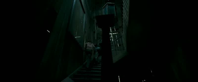 Ron! Ron, you're okay! The dog-- where is it?! Harry, it's a trap! He's the dog! He's an Animagus!