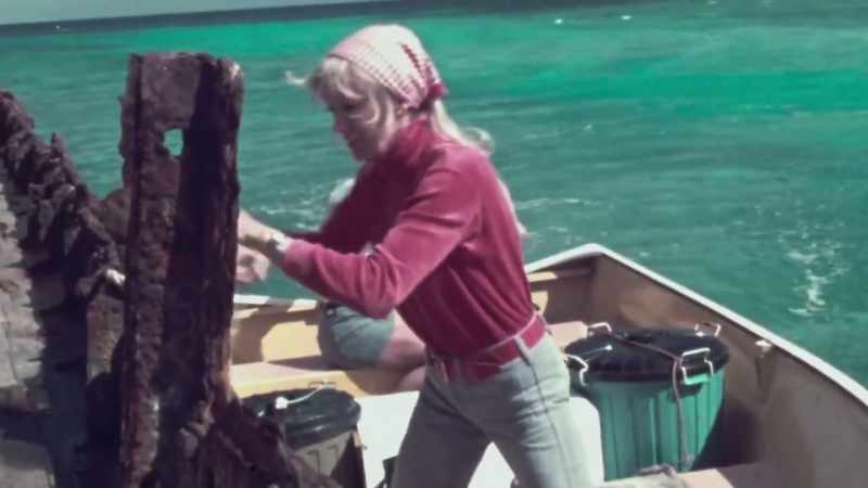 RON: Universal Pictures got us a book from Peter Benchley called Jaws