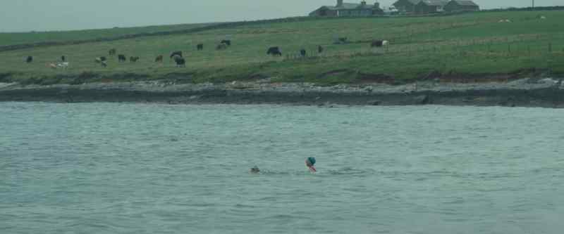 RONA: All things come from the ocean