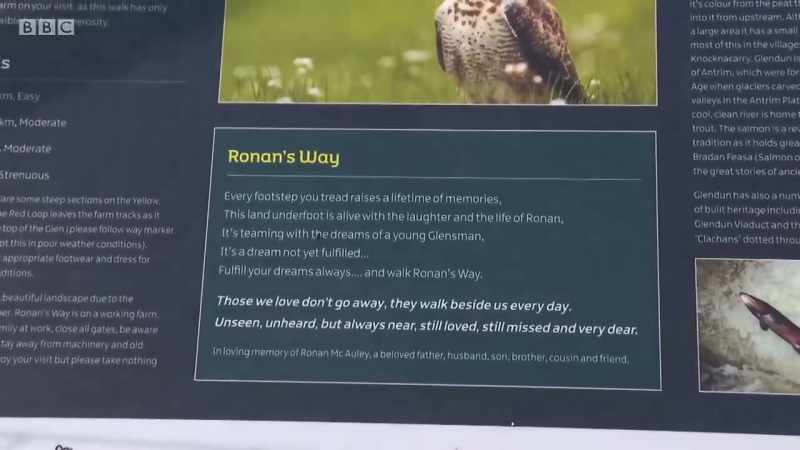 Ronan's Way