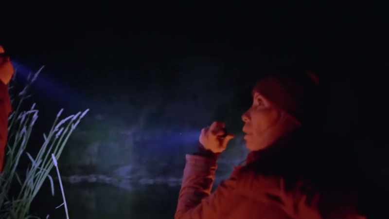 [Ronny] I just saw a [bleep] shadow, and it disappeared