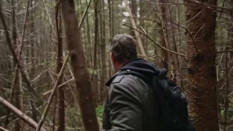 [Ronny] Now this just looks like tree-fall. But something has just caught my eye