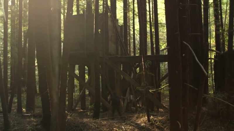 [Ronny] Should we blast a bigfoot recording