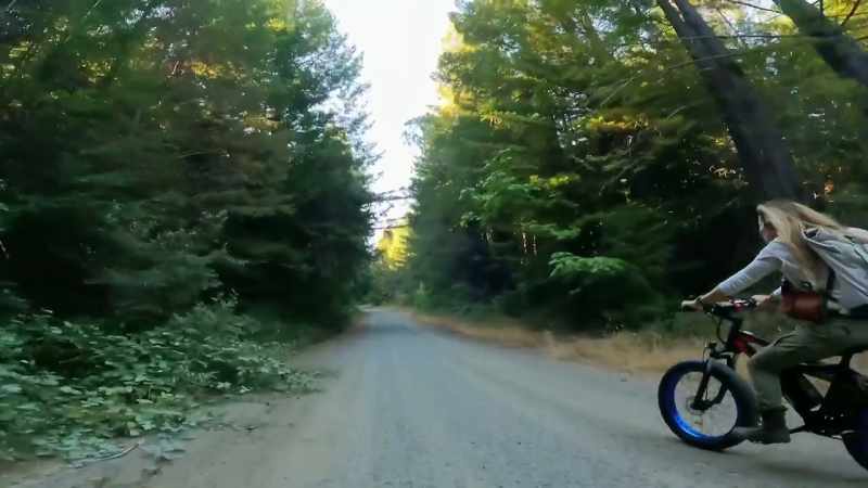 [Ronny] Stay alert. Keep your eyes open