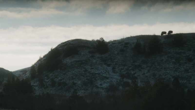 Roosevelt called it a grim fairy land
