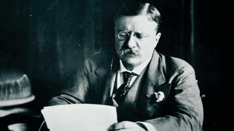 Roosevelt then has a bill before the Congress