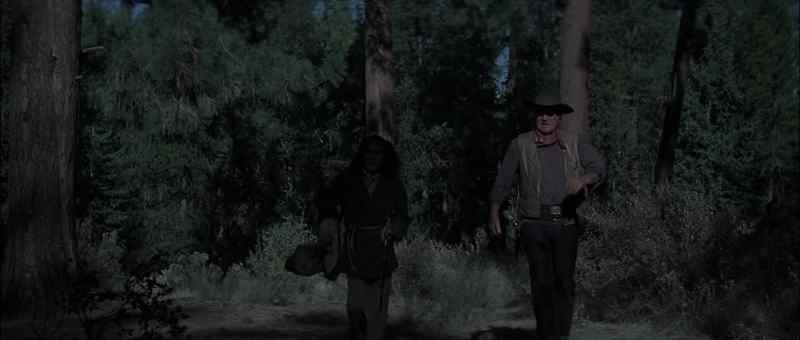 ROOSTER: Hello, the camp!