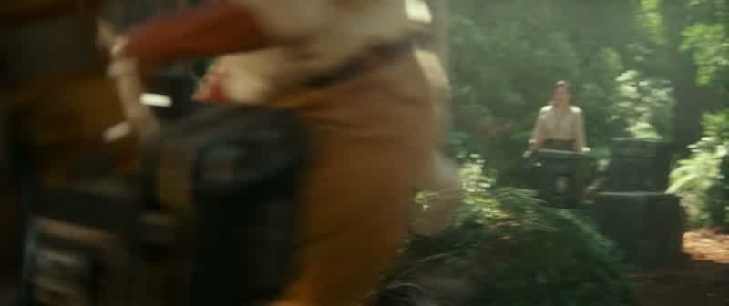 Rose, last chance