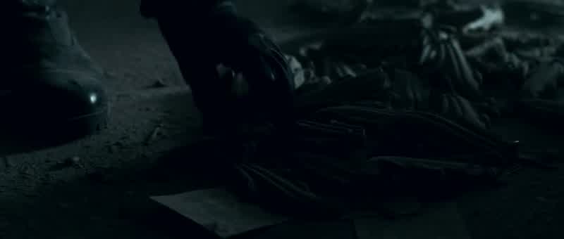 Rose, look at this