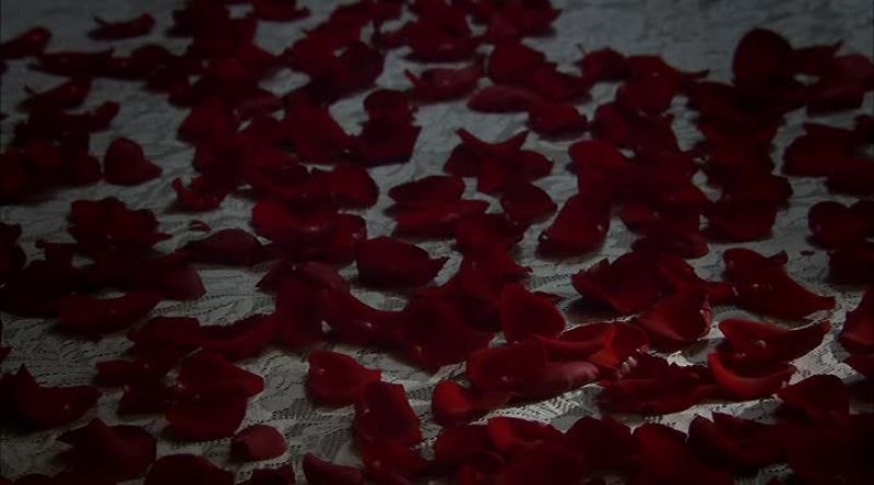 Rose petals
