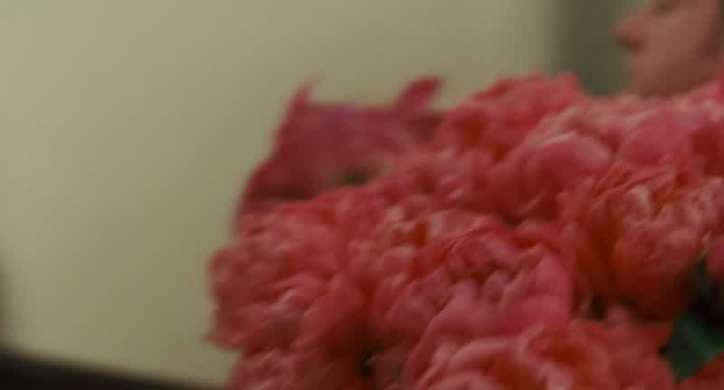 Roses for Lerner