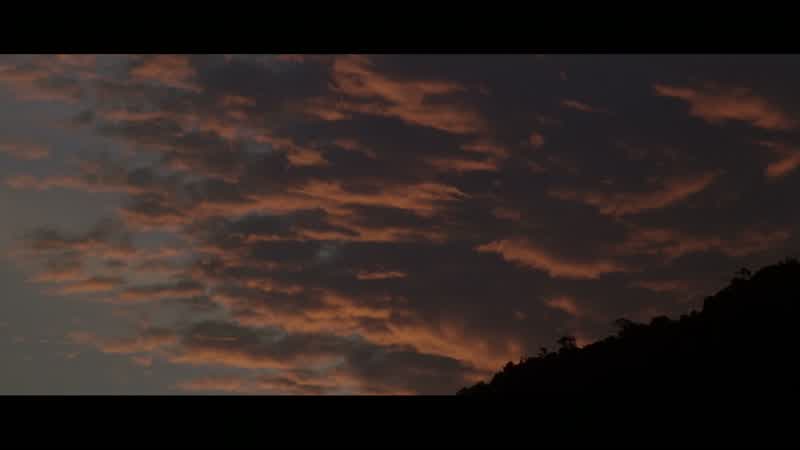 Rosy-fingered dawn