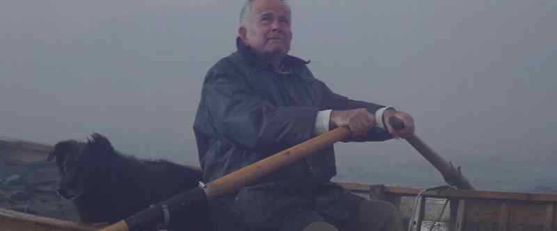 �� Row, row, row your boat