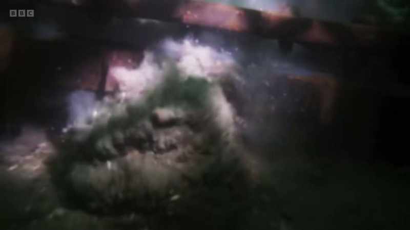 Rows of heavy metal teeth dragged behind a boat