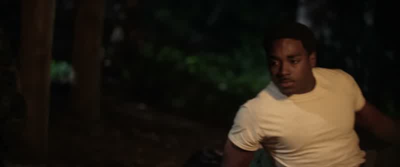 Roy? - A bear got her