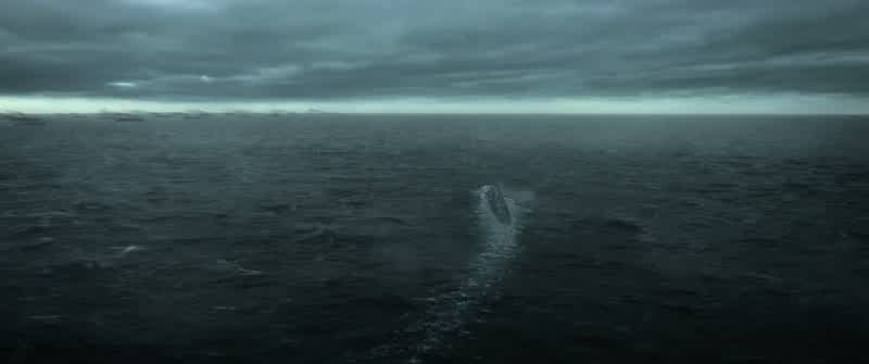 rudder