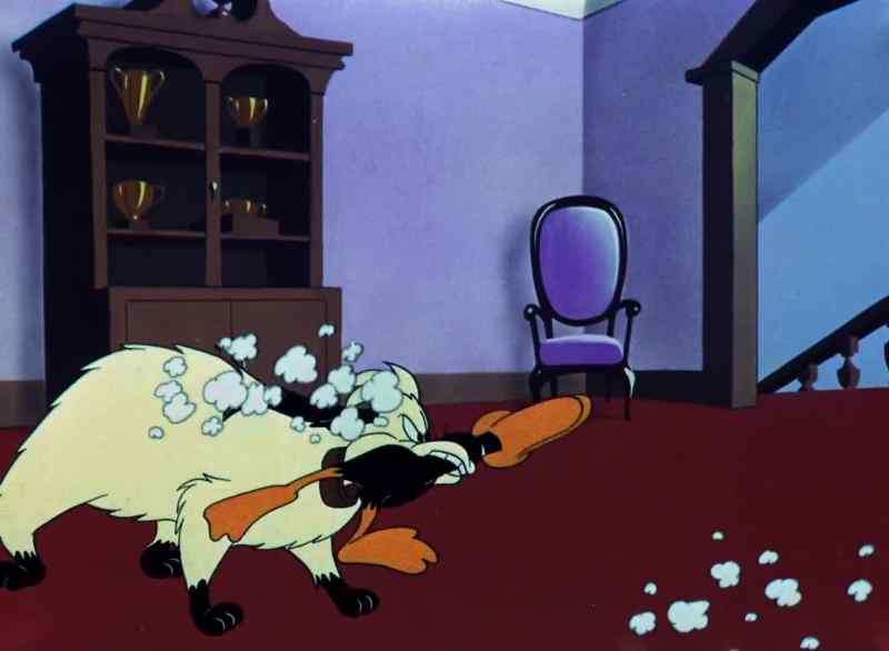 [RUFF RUFF]