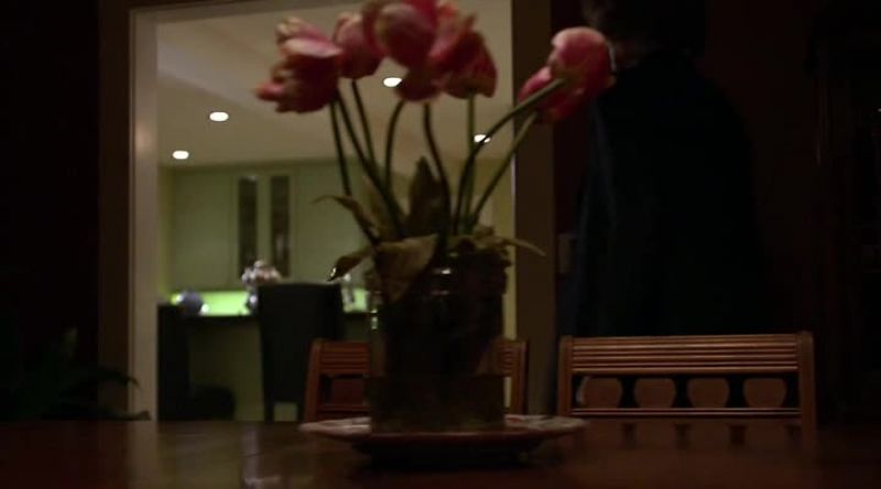 Rufus?