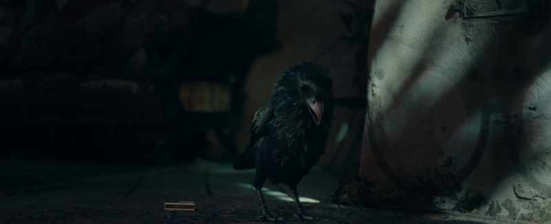 Rumpumpel was right, what good's a raven?
