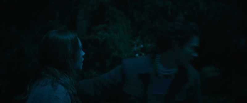 Run. - Dante! No! Dante!