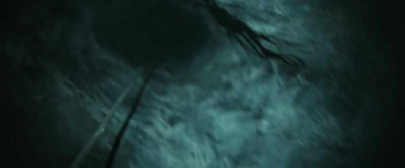 Run, Margot! Run! - [screaming]