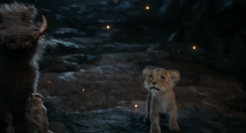 Run, Mufasa